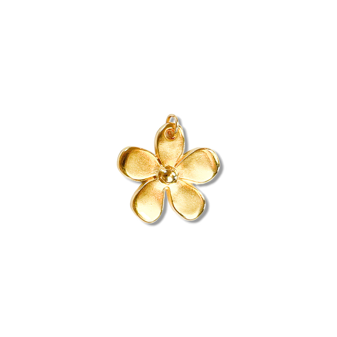 Charm 34