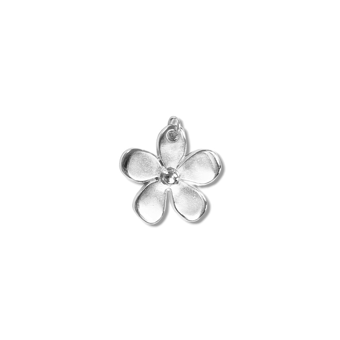 Charm 4